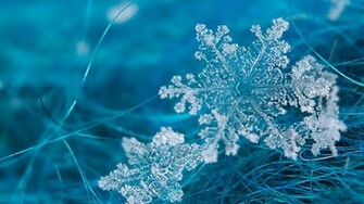 Snowflake Desktop Wallpaper High Definition Quality