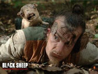 Black Sheep Movie Wallpaper Joblo
