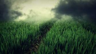 Theme Bin Archive Field Fog HD Wallpaper