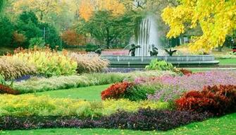 Beautiful Garden HD Wallpaper