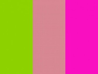 Blush Shocking Pink And Crayola Three Color Background