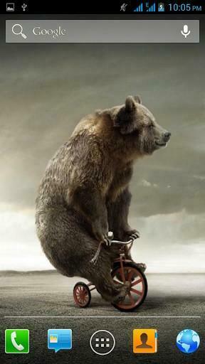 Animal Wallpaper S Funny Doblelol