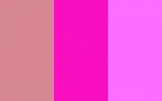 Blush Shocking Pink And Crayola Three Color Background