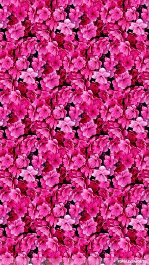 Bright Pink Flower Montage Whatsapp Wallpaper Floral