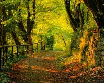Wallpaper Fall Dual Monitor X Desktop