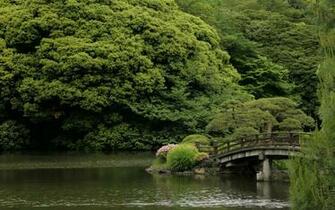 Shinjuku Gyoen Bridge X Picture