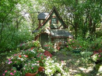 Cottage Flower In The Woods Nature Flowers HD Wallpaper