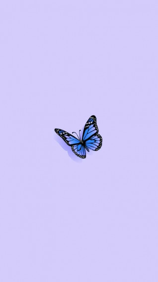 Juvy Morais On Whallapers Butterfly Wallpaper
