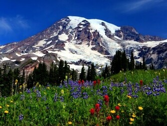 Mount Rainier Wallpaper