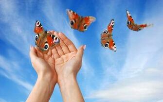 Hands Butterfly Sky HD Wallpaper