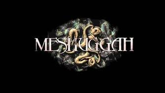 Meshuggah Wallpaper