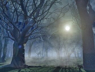 Spooky Forest Wallpaper HD Background Jpg