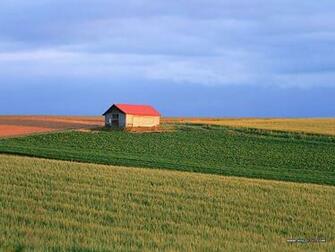 Scene Wallpaper Cornfield Country Fram