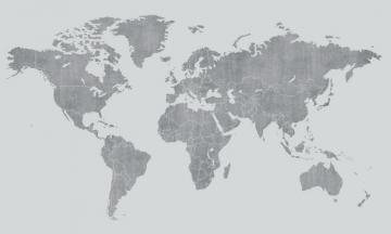 Voguish World Map Light Gray High Quality Wall Murals With