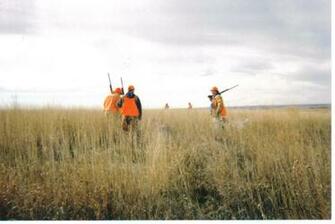 Pheasant Hunting Wallpaper