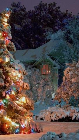 Ideas About Christmas Tree Wallpaper