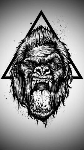 Gorilla Wallpaper By Sixty Now