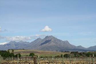 Cloud Shadow Mountain Cape Town Vineyard