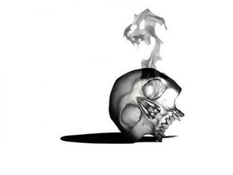 Skull Wallpaper And Background Id