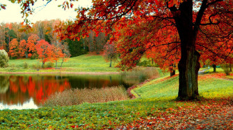 Autumn Wallpaper Widescreen