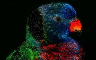 Psychedelic Desktop Background Wallpaper