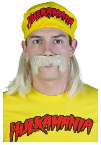 Image Of Hulk Hogan Costumes Costume Ideas Costumei Wallpaper Html