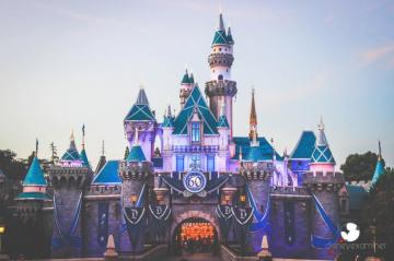 Fall In Love With Our Set Of Disneyland Wallpaper