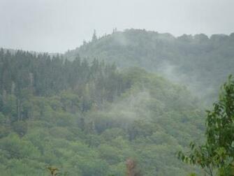Mists