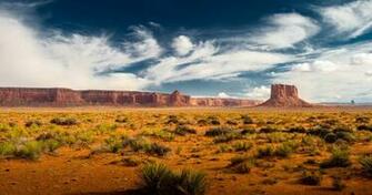 Desert Background Net