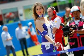 HD Wallpaper Motogp Paddock Girls