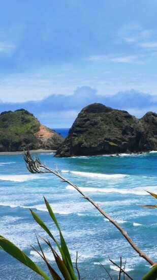 New Zealand Beaches Nature Beach iPhone Plus Wallpaper