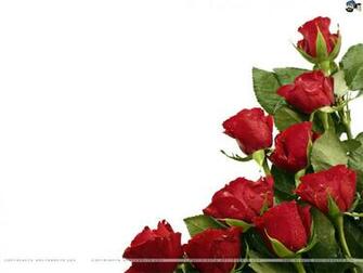 Roses Wallpaper