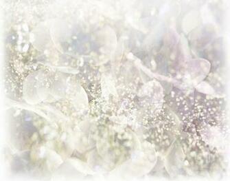 Wedding Picture Background Joy Studio Design Gallery