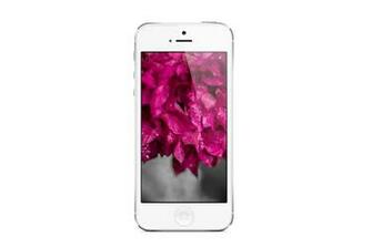 Spot iPhone Apple Wallpaper Cool Html