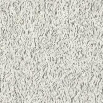 Short White Fur Texture Background Mytextures