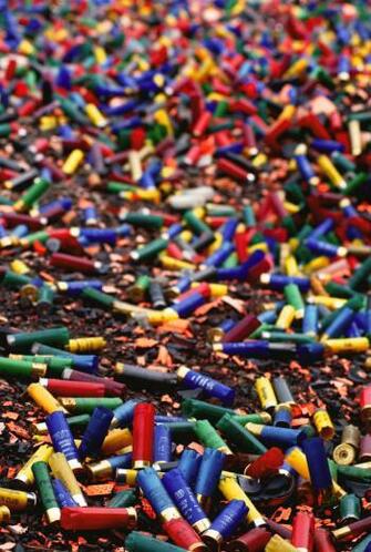 Shotgun Shell Wallpaper Stock Photography