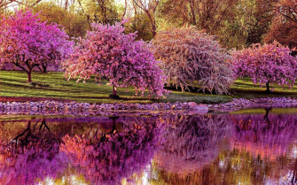 Spring Desktop Wallpaper