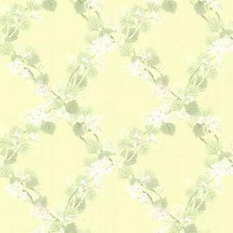 Delphia Yellow Jasmine Trellis Wallpaper Contemporary