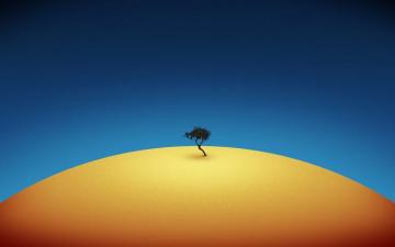 Tree Alone Wallpaper HD For