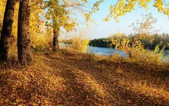 Autumn Road Trees Blue River Wallpaper