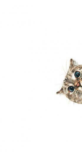 Peeking Cat Wallpaper Top Background