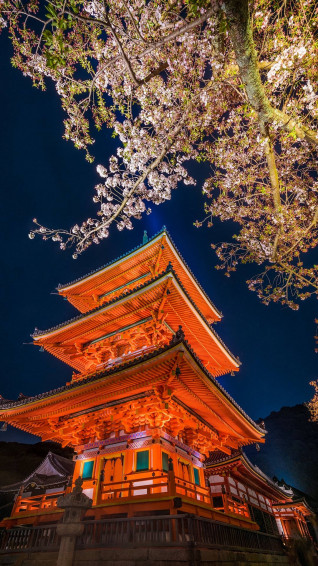 Kyoto Kiyomisudera Pagoda 5n7qoy623fmzjy07 Wallpaper