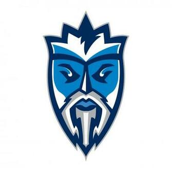 Lightning De Tampa Bay Logo Peinture