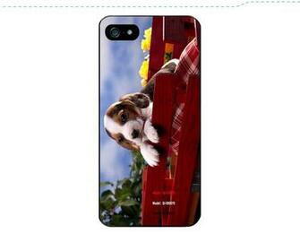 Francisco 49ers Nfl Style Hard Back Cover Case For iPhone 4s 5s 5c