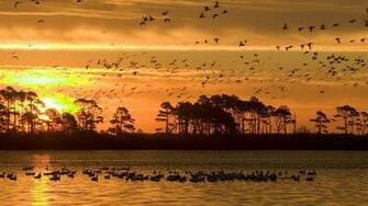 Wallpaper Sunset Chincoteague National Wildlife