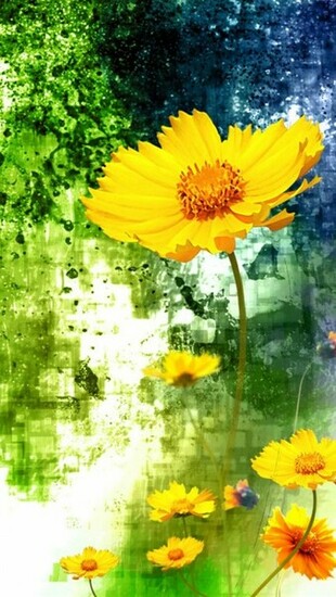 Yellow Flowers iPhone Wallpaper HD Mywallpaper Lockscreens Pin
