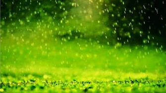 Falling Rain Drops Wallpaper IwallHD HD