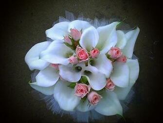 White And Pink Flowers Wallpaper
