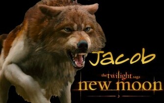 New Moon Wallpaper Jacob By Michaelkuttler