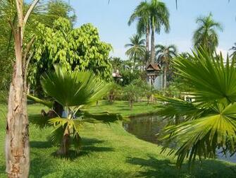 Chiang Mai Wallpaper Voyages Directory